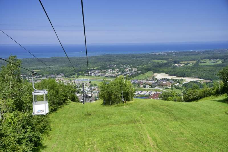 Collingwood & Blue Mountain