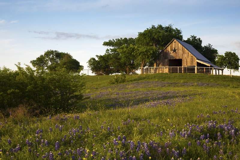 Bluebonnet Trail 