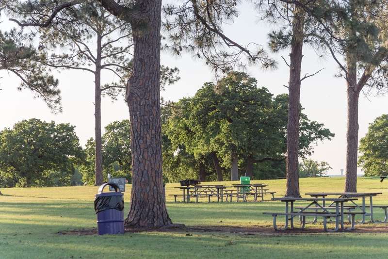 Texas BBQ Trail