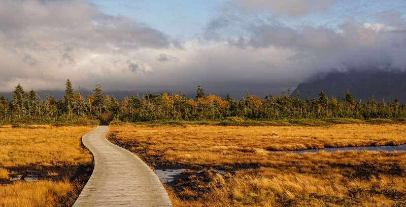 Gros Morne National Park