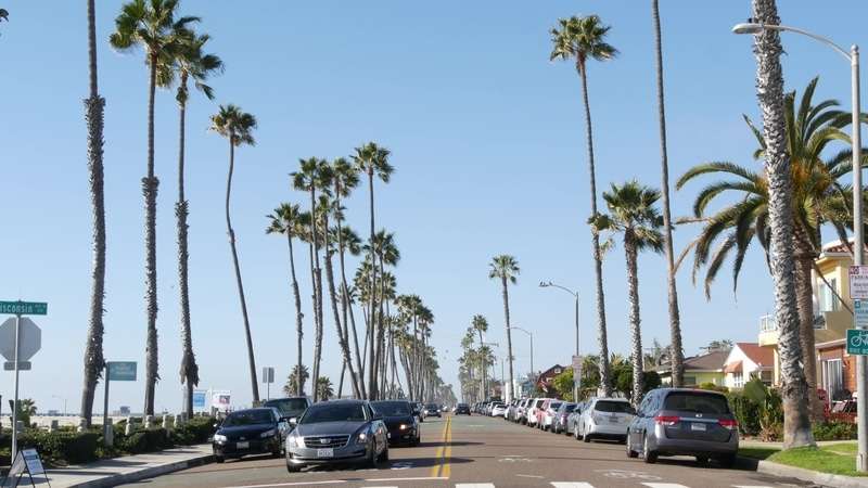 ocean road trip