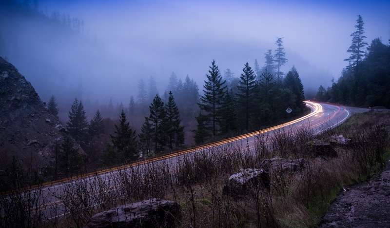Redwood Highway, California 