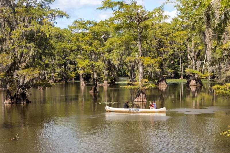 Caddo Lake State Park, Texas