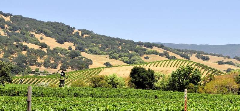 Nappa Valley